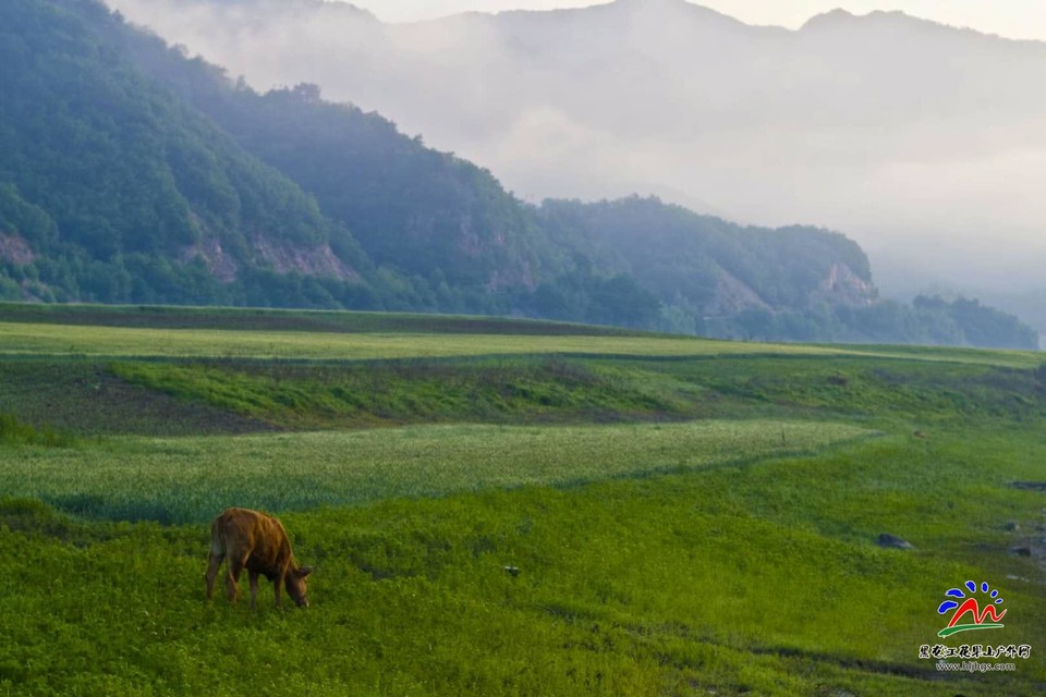 WuV8qVcRGy0rxx9eiL2j1JVD3Cp7UBeL6vl_0WgsoPkEe7Jjpk3oSstFZ91qqX6V