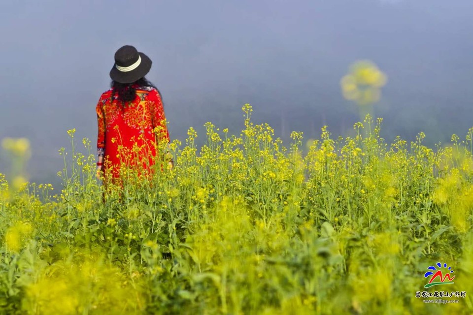 l6vrrjKHPXaKMImf5fQh4AlzxUTqF6cb7q8RJdle6oNySZPcdlPqFEL9QDe4mgVi