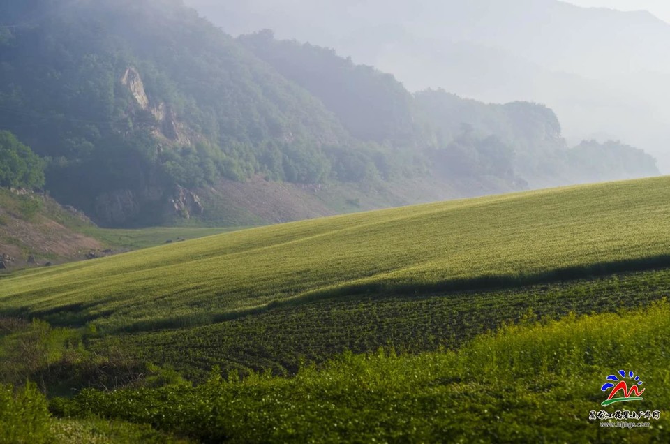 _raf_cMxdydq-qnD7KH_B9g1Dit9NnHnV1gu11CdEWWmsJonV1c7UKkivBzcBIs8