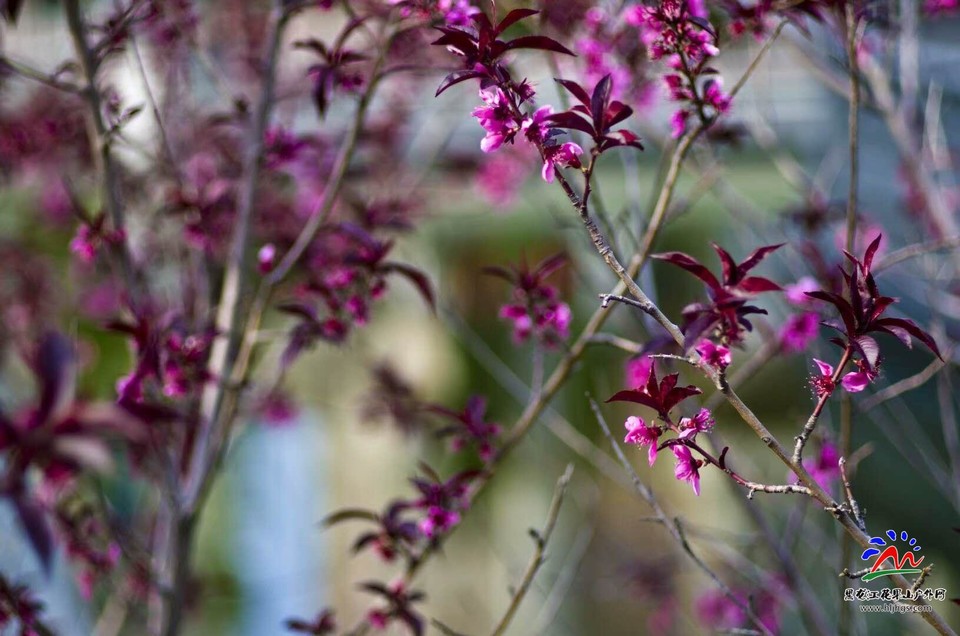 XGNawhbiBb0FHUgIxXvhKZHBwykE3X9vVDDx8FNEz7cw9CzePuj7EQndRFl4B5J0