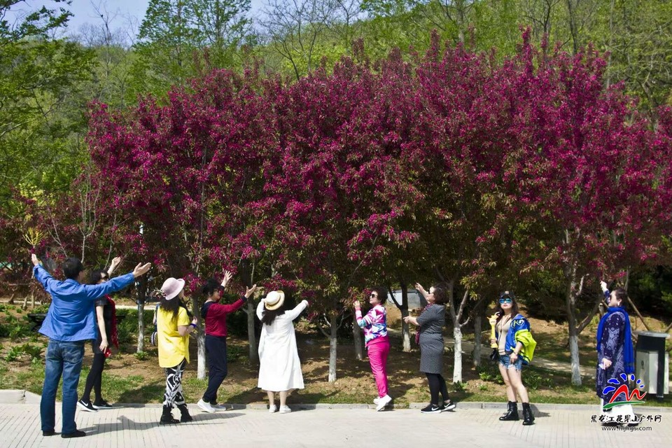 c6-EIsnAmLIi_BqpmkZVAKlbKOoyJ2-KRpvDIJvf5FbTyhiFKydXMv7Wnu0jBy9n