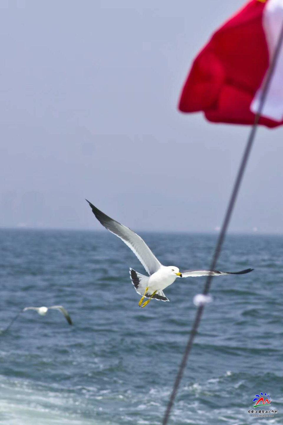 HWyiXf18n6R9172sXawdpl2FJC-j45Flc_40gm0CkcbIkHFjqUxBcI5JO0TFRMSZ