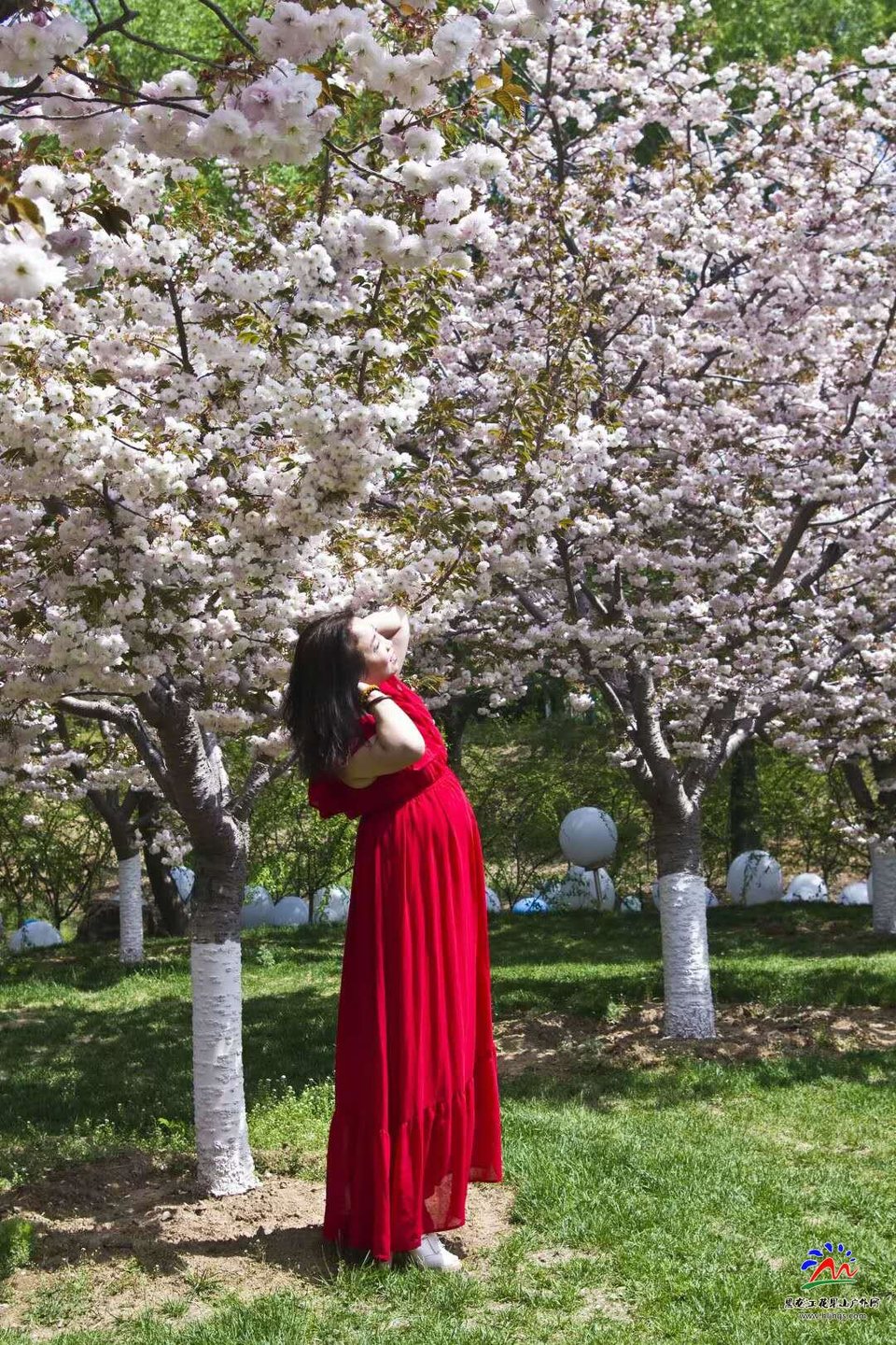 _ZSkXkCoJm_WJF80-DDOO6g1MSwikMMgvUzS8uObcfRR8yYZZ5rbOK1rRwt23oUp