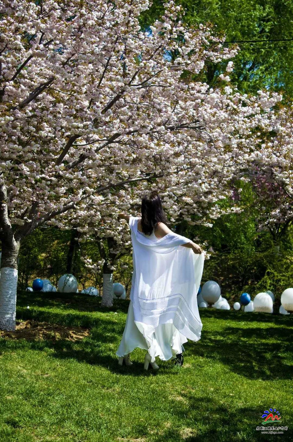 ezQuQ5cC2wq9L40zmAnLW5ibR3k7iU5hZgVE3bQ62UwJb3_8q_k_RQ2ZwuV5cOUf