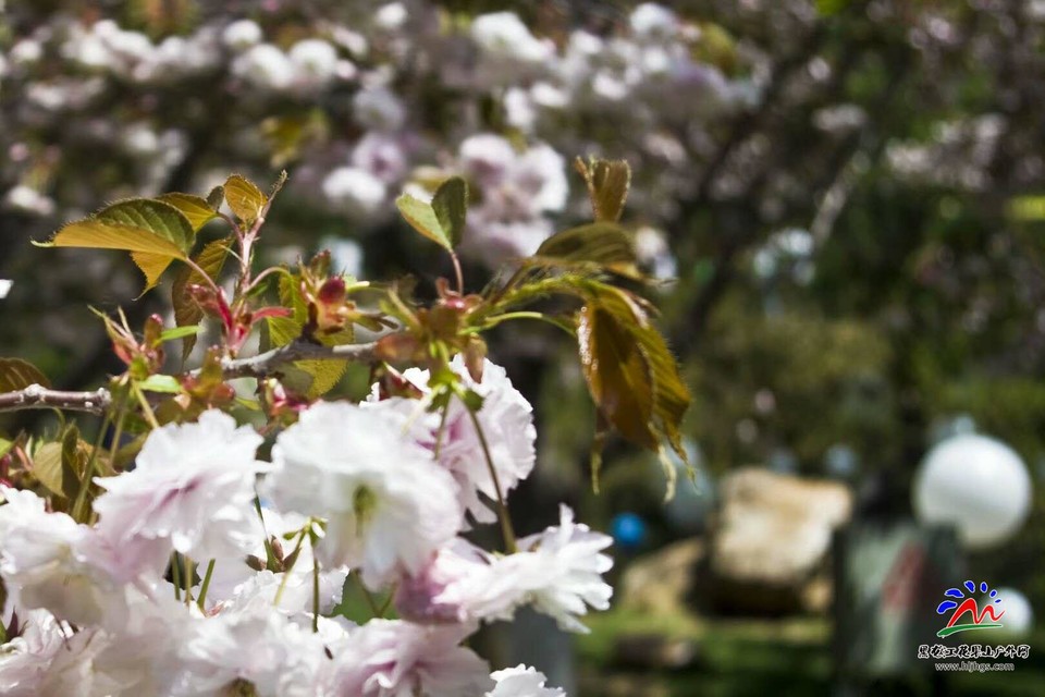 IM90TpWLOCio-VJVr8PrRv-RwCrLFcXA98J0qdVGoXxesoB3udvD61dUOXHYDq_s