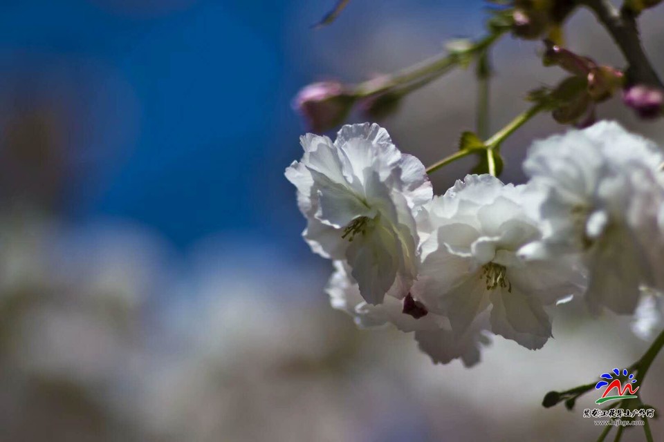 qoy6rQxrO6TgDlFrjGDDcnmOvfnsSjGji_l0BgZvIqmzsxjYSFlI6qKgdvB5F58C