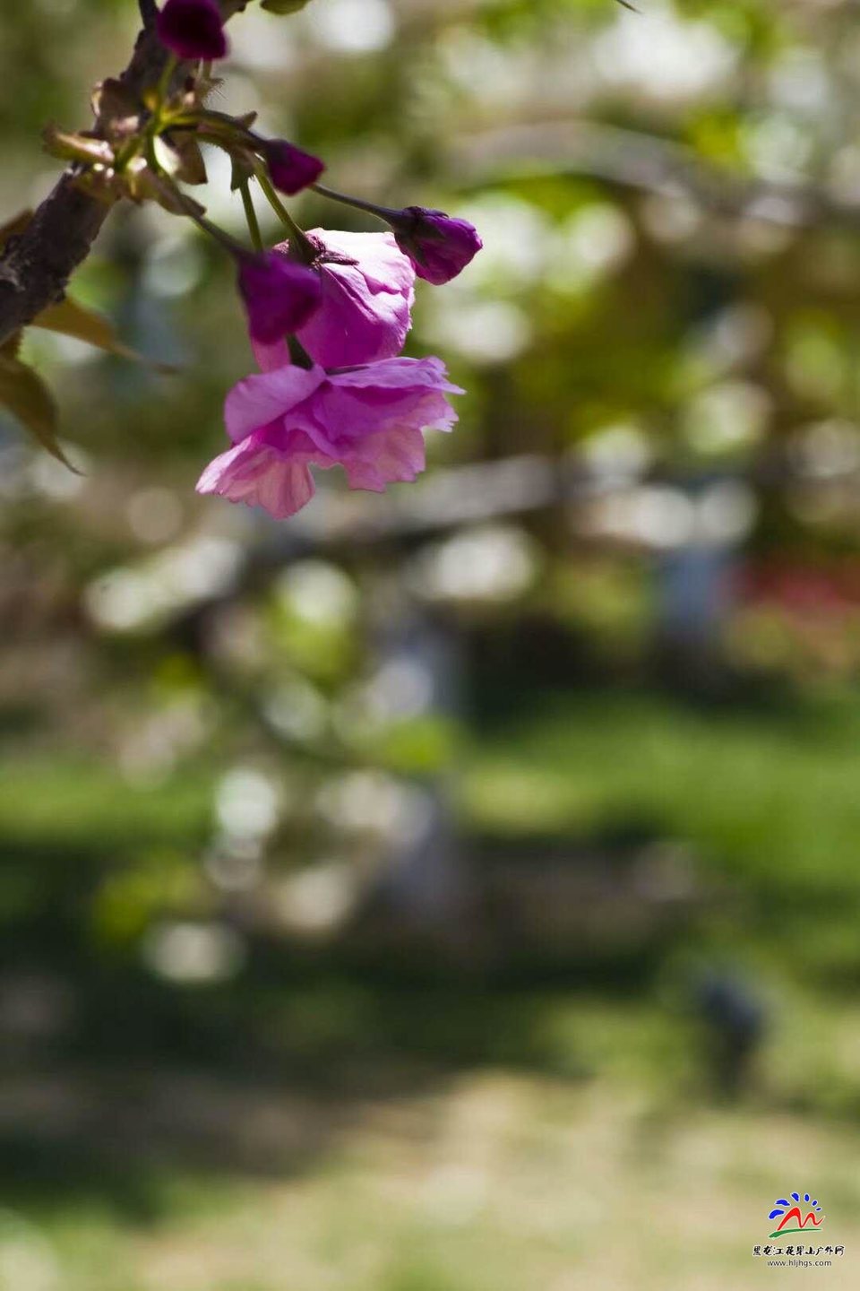 DBrZWLxdt-ol-GX9MZcQDiiCNsDignYFeZ7aP9aqsG3W7jlEneK508sukroEhm_x