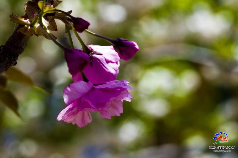 IEUINdgk47P8rwOOlzAg11T64C5RouaAMYfhU_AKIGNSZsecR6_Wiv1g53oEYYrs