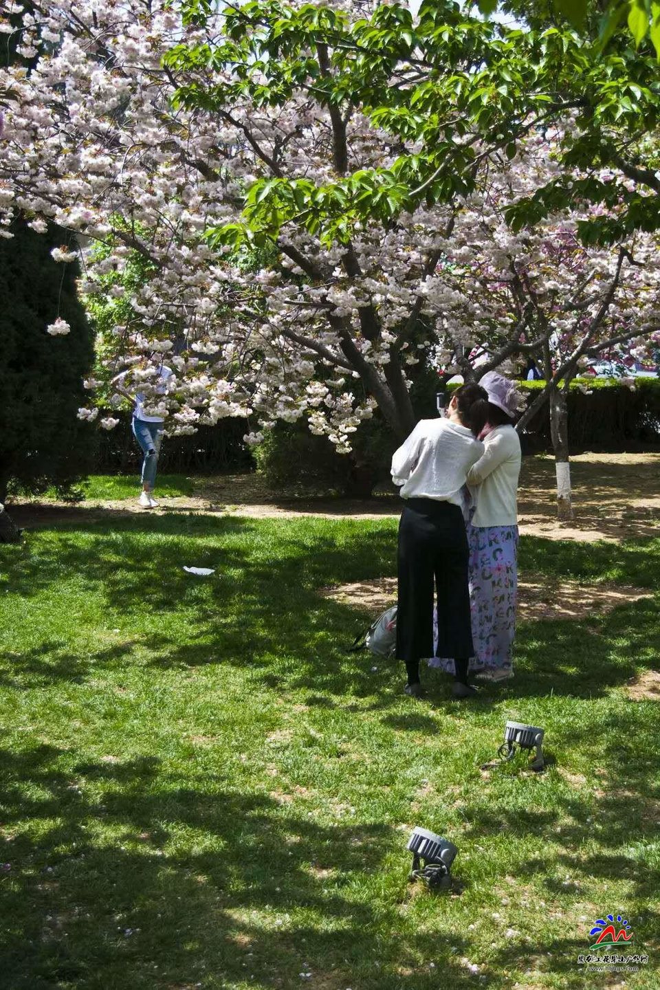 Gh_zkfcLAoGuBwjh3Wy-aETC1JKYt7BTKSFzWiDNhTTonKewLj-JStjgAZmsdLaB