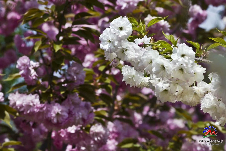 xAGDo-x9WrxqRX2MpS3xv4CR-w1iNPPfPYXaxZvaLOm1dd7HxEHJikA3TRr-SLin