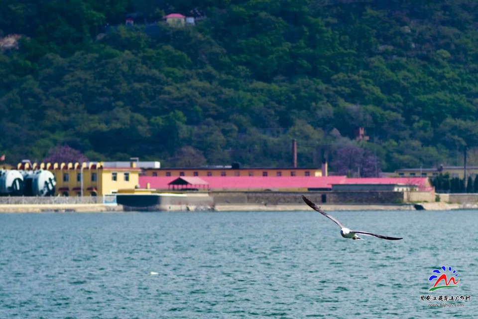 4icLRGTd9ru97JXVneAR4y6C1ZUBg9VXXxREjBEL8hxsTzjrtW34A4ppVB1LPn6y