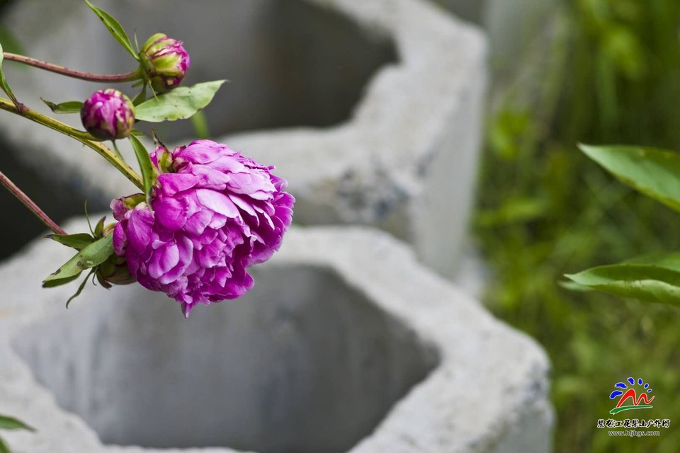 NVrykE1PClLxoJJx6K8u4dekRA5fkZoKXeqy1TGGBZxyeebfX34a5ubprq0JsoYY