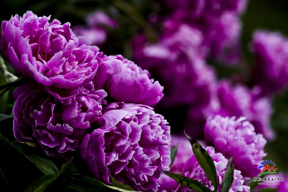 fgIdVuPEArJWe8AnOqEo272L9qDT5kyu23n9DUiFZDY7rnKri2Uq3EduF0mJ42ZV