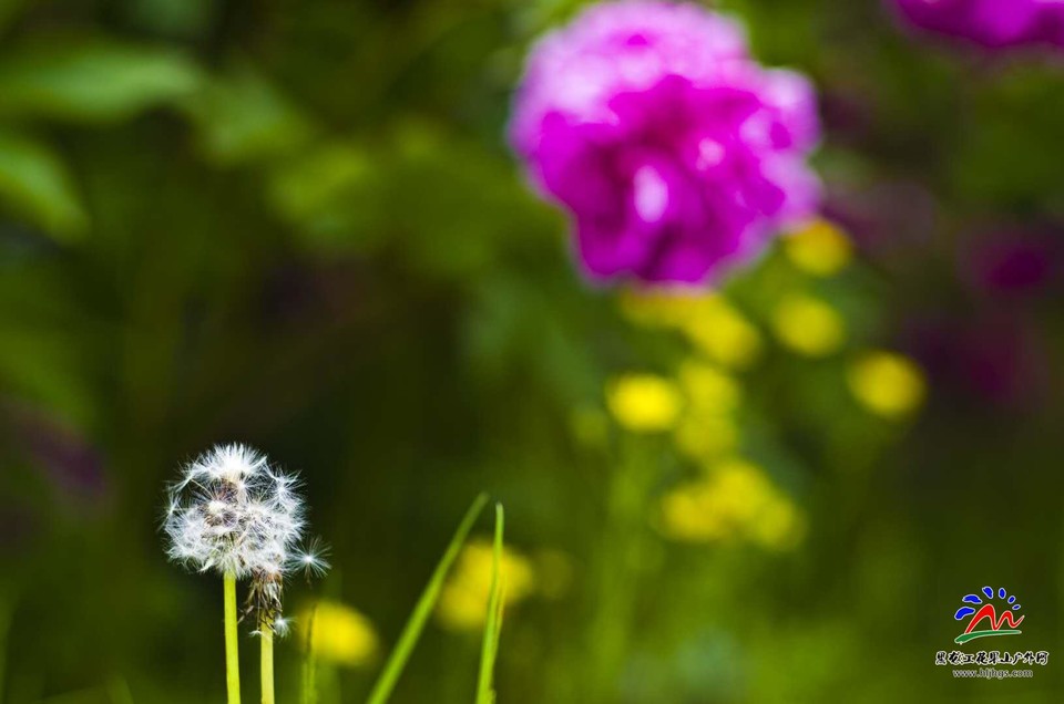 IOyJ9BpAgwt3E0CwdnputLxD77ISW_DutNuevsXnY1sl8l7684X3Iz3HDlR3Snon