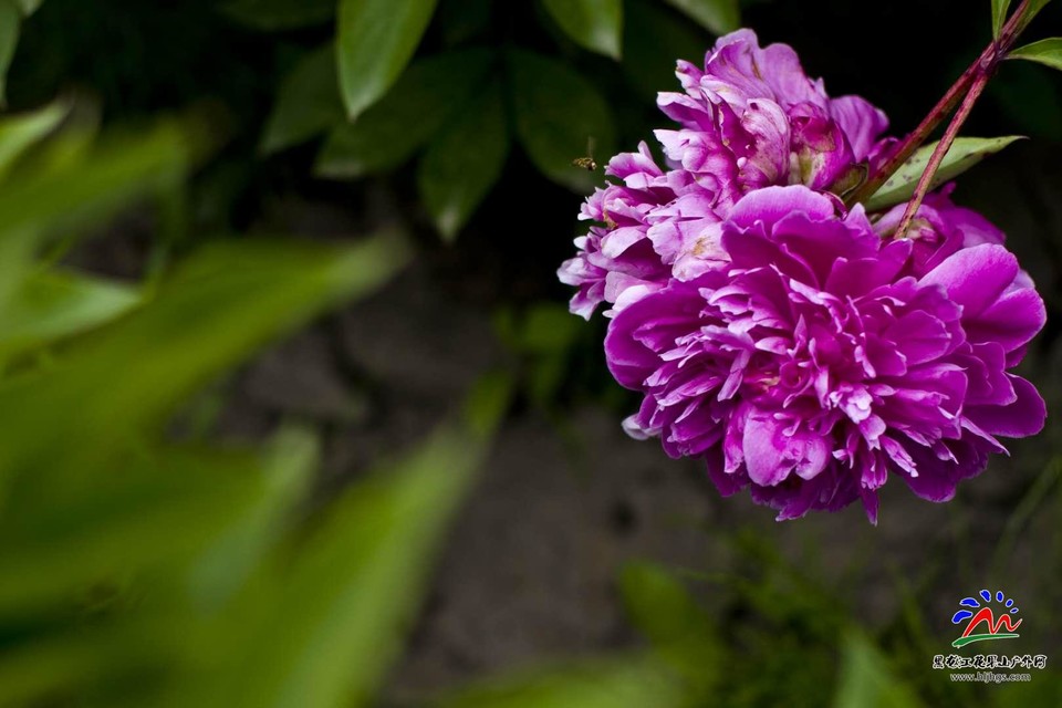 nDyDCQzZ0xuf9X4C-P7k8ibtJqF27SENPpXdNZZyu-eTtKXmtq7LsHm4aZnKS4D2