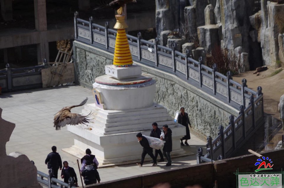 0gMVYXQ9UhejxiUhFX0_R4j4M_epDPmpMCaTbwlB8yAZAsuVzuL17-bOtYssxw5S