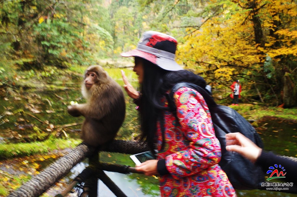 ZAX-TK6K8CrNDFxjYRe_Em8zc9NZQ_4P18daWaHxv0KBly6zsFgXOQycsTjzd9P6