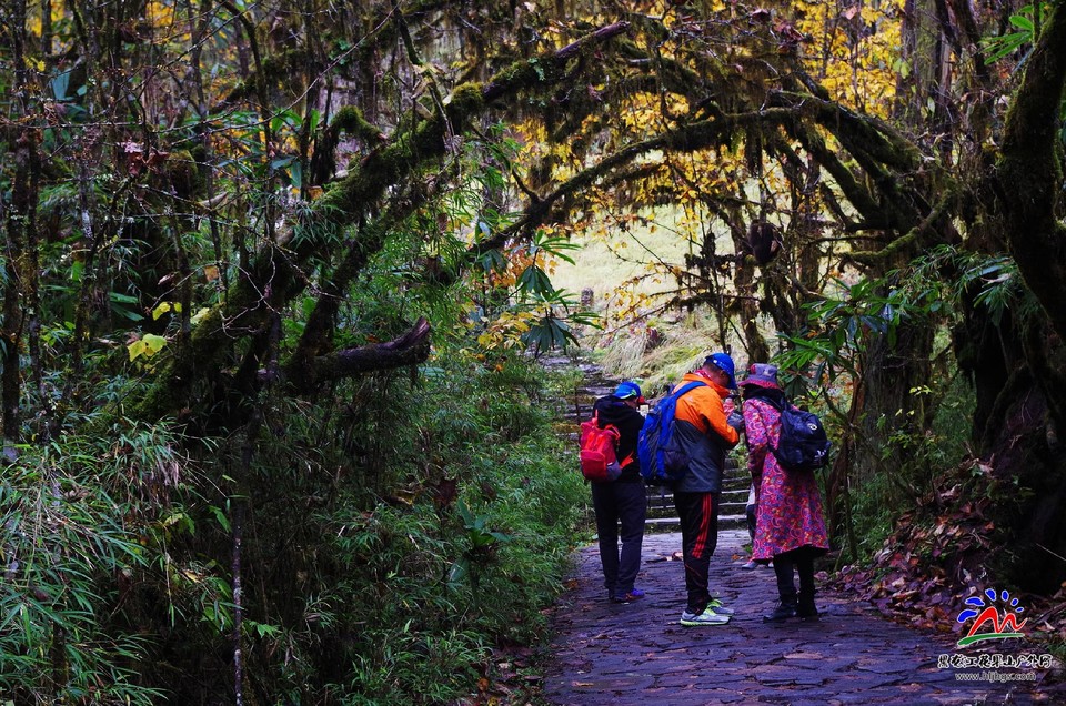 vW4HtjwSF5sIET_VmwBO9pVjPeStT11be-U-dGTa0JxTTp3sEfCvmUcq--s8pxL3