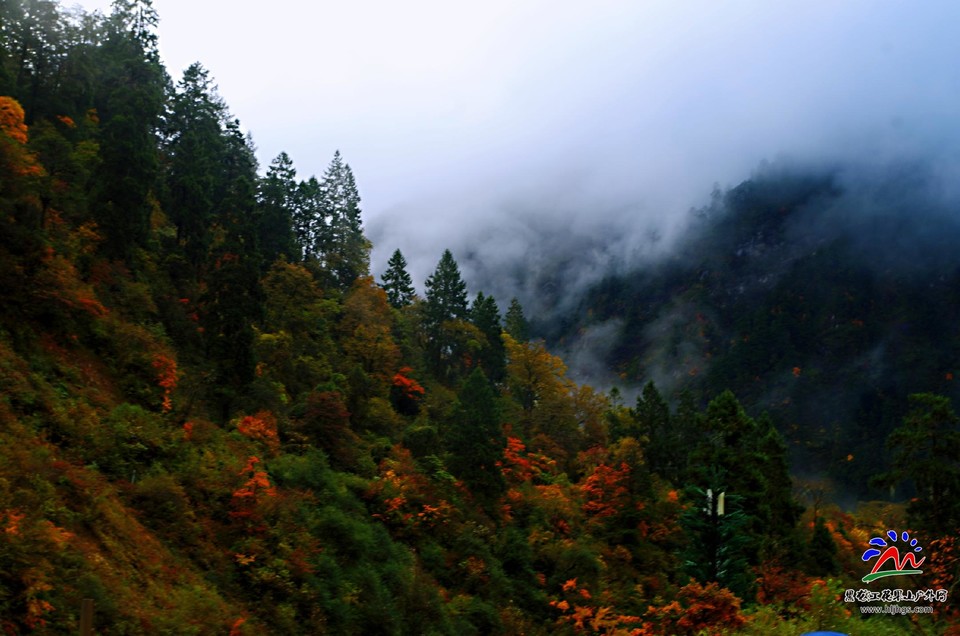 PPu7wE2CbNgH_my4V-nQqWon15VCwjg-Y1oI_1WoNK-ILJQX7gYt3TEcm9txl0mb