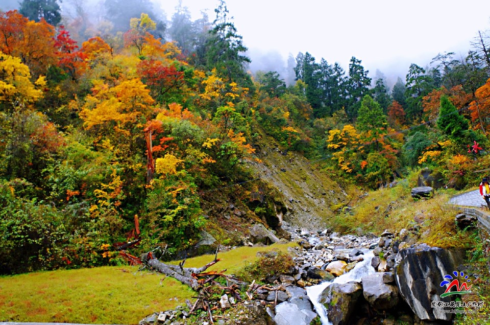 _iXse-__734GRUBp6LMvArXXn86GtkXn6nVViG0UMAiDgrewZW_fBtVH-Tb00IK6