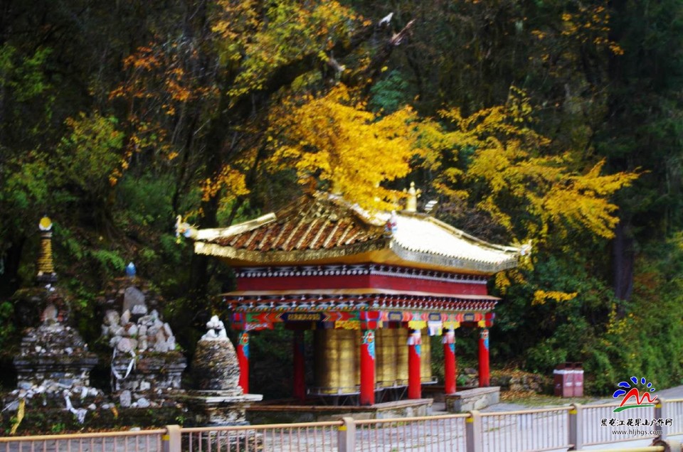 Ka_VTkpIwE09POFHTYhvVmQ7qonRSRfHcyOz0RSyD1QiP-RyFcuVf_5JJZGZTBKu