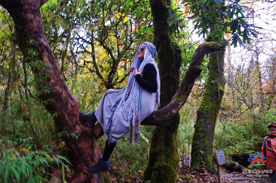 Yl9iGGQ-VY5Trb9T8YUdbZ-Kl58VG7TQVrJtchmx0U38yCQNb6_eFYBrga6F0mgG