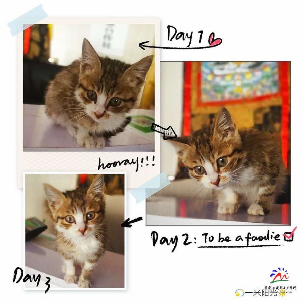 ViPN2QsrWGOkl3_Y1Ety9y32EbzkH-c94P3gu3epEcA-f5v6bMMB76ys6zczGWfn