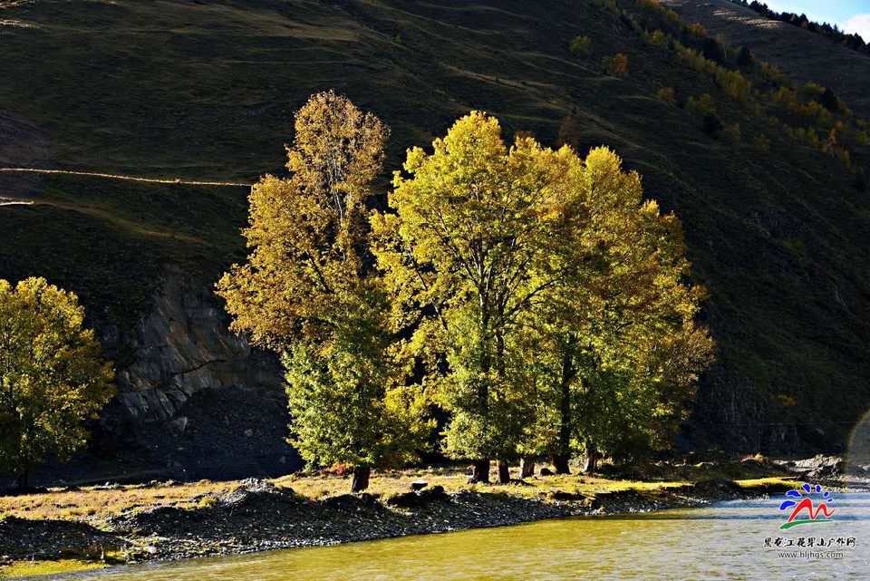 025UW6iDBpKTJmpkTjrk_UsXxvDFKPUFy94_GBsgNH3b1FrJgXcP9yWq2vKqLE4h