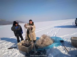 mmexport1515242936788