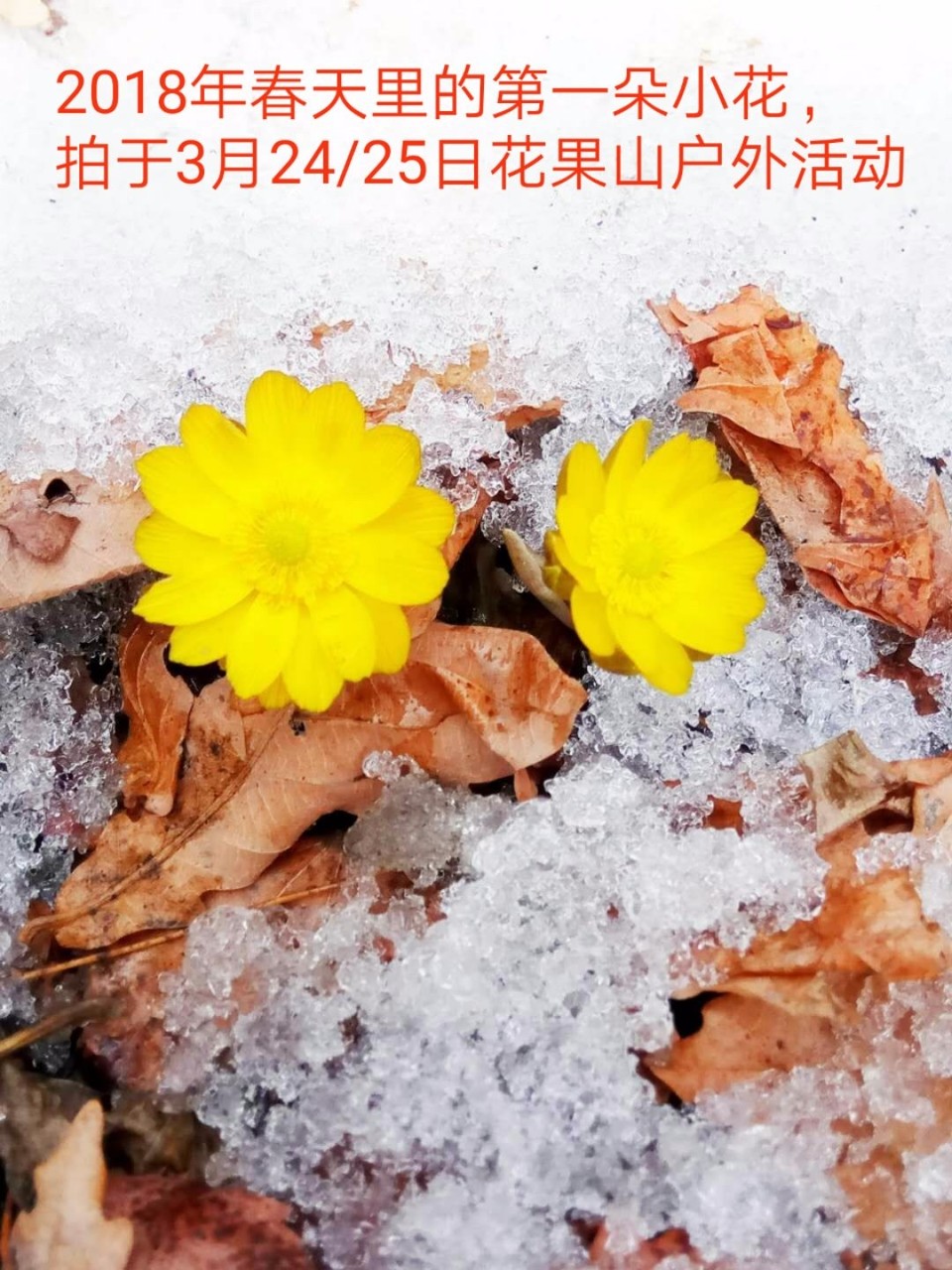 mmexport1521969311148