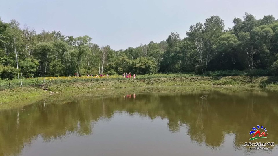 TVTI4V_f1H6ehw0M00V1QiR6qAbdp_XsmB6ydZHNq98vz_rBZd_GO2zJePwWeoN0