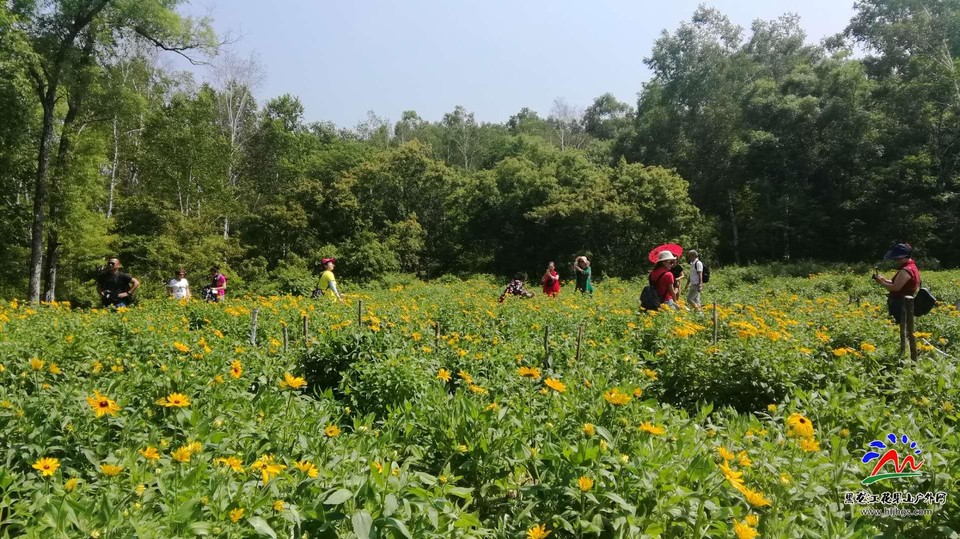 Y4Qf7GTRO01nGY54NCuZWML8X_s8-_ukzbU2eQFe3wIsiJ-J4IWASiiLd6glyPFn