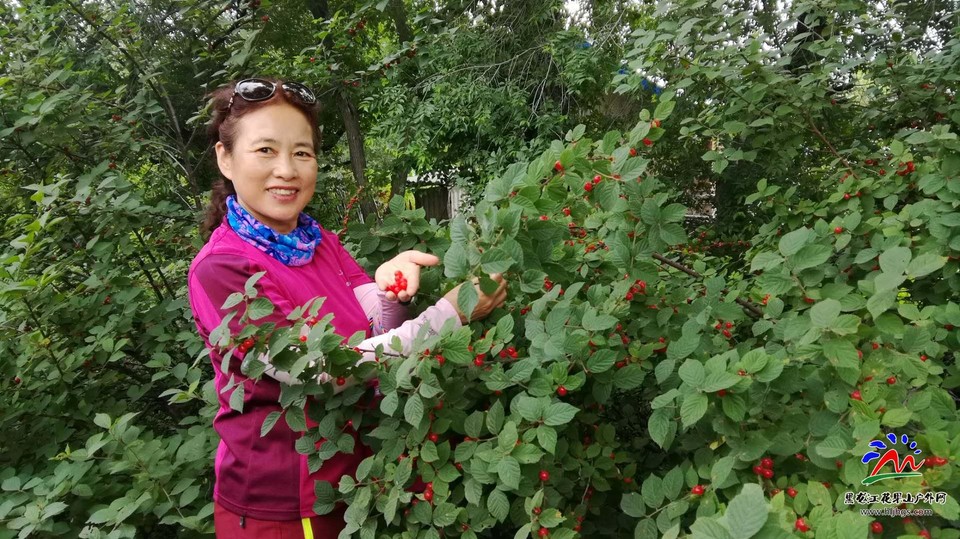 -15omjqVQmQs4yXIrC5iHtU74qZ12p0AmGJNCJCIrNmQWxxsfWut6MJn020nS78V