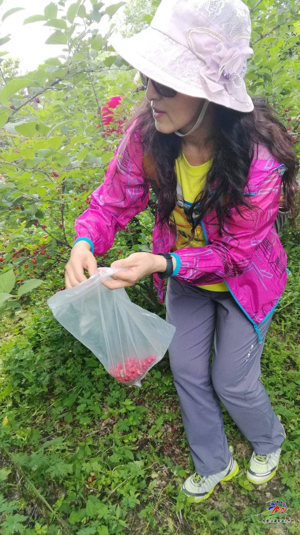 NlWvv2twxP9tjYgN-CnpDlwi7Fa0PpKSXImGLUlXd41puSu8tn226EQ5hH1Zg98o