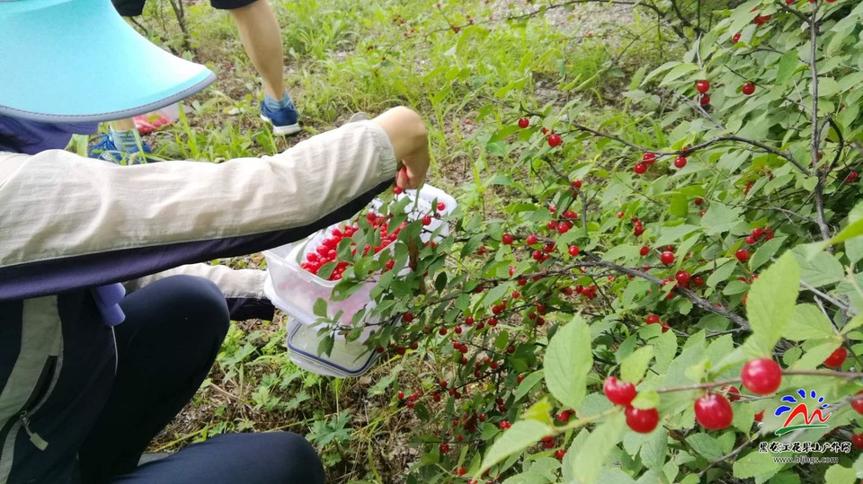 H0SvmZFHzCRRvcQDobPRirsvZaj6Mhi3NnD_FJbjF9AtKOmrI1h5PcqQUNljGO1T