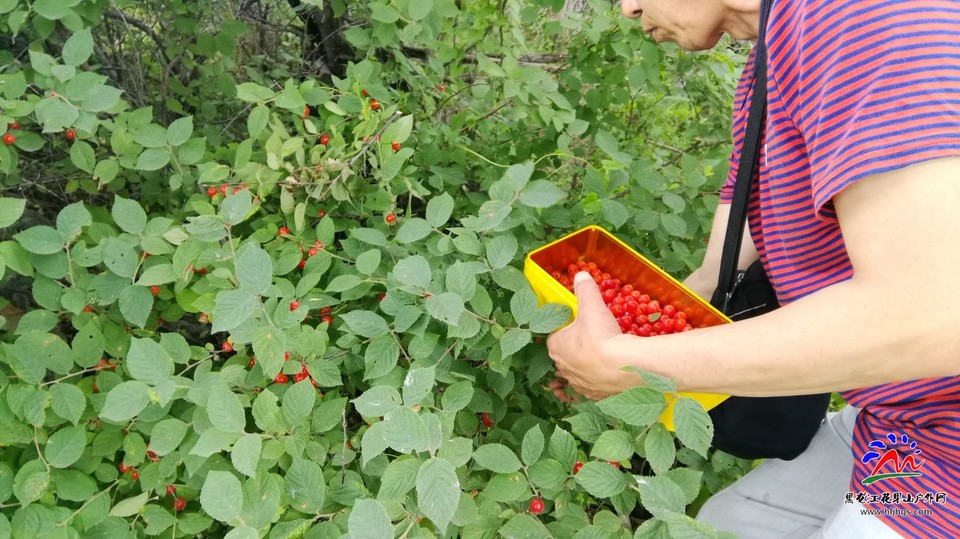 Y-EK1rpMQdaCMJYhrnEboFlP6mSsWO3oS558MlYQ2uVYyZqWTcH4URL7rpPrGZBf