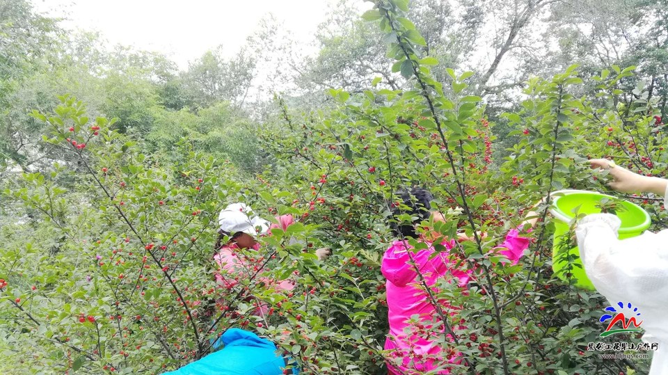 noR8BBsg5z9umDut5jyguVgwEnVm8y24ayFiEYj5r2wN0bYktUYkaTJnaVhvkYbD