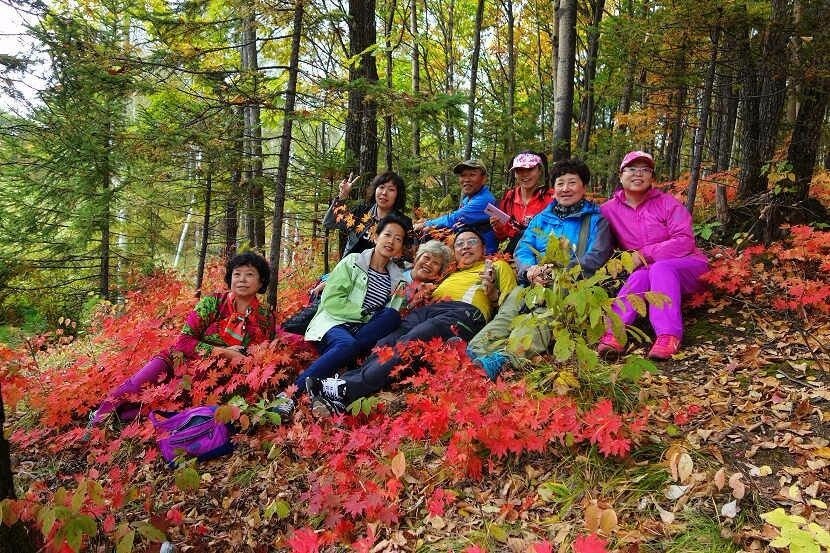 mmexport1517928340208