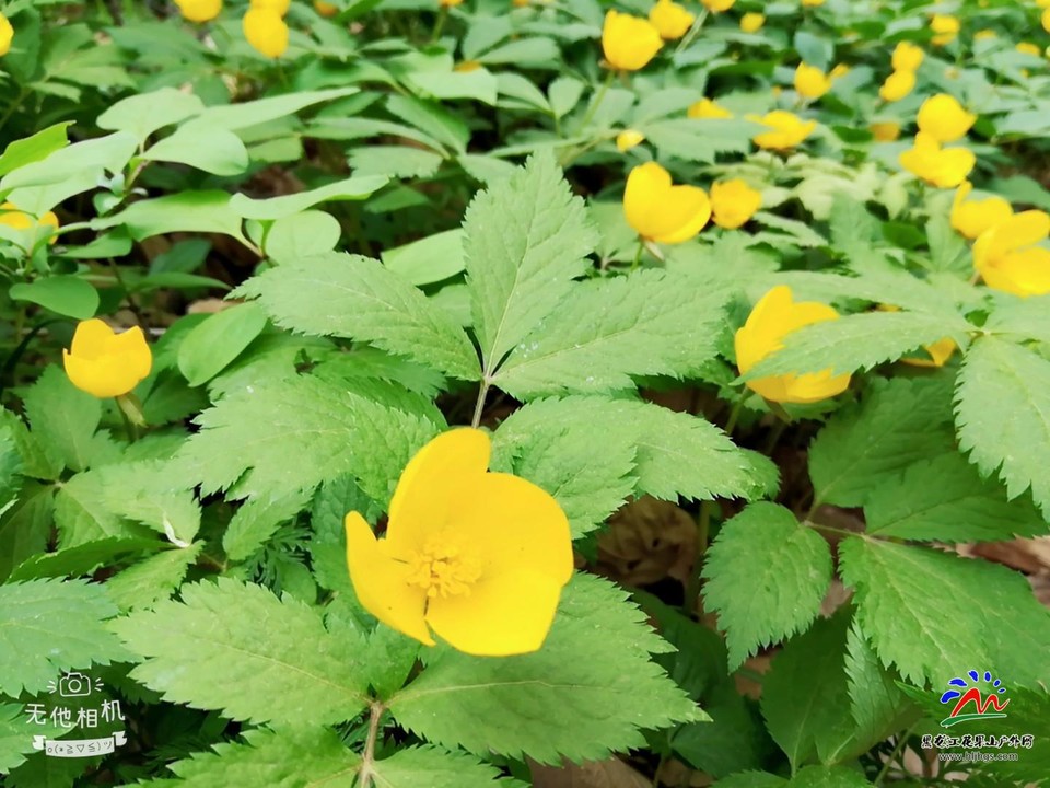 WuTa_2018-05-04_11-23-43