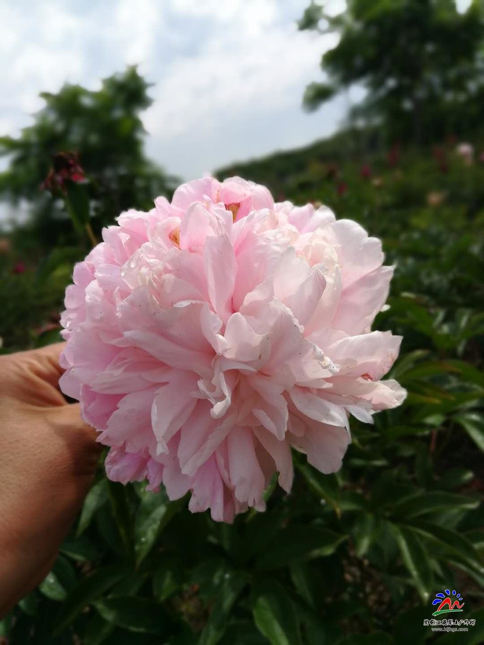 XX9BR8zbBUMwDfPEv7uVCUWDLLRY5g1num13dzBufztDV8jV6Bei6IEWlupIrjv4