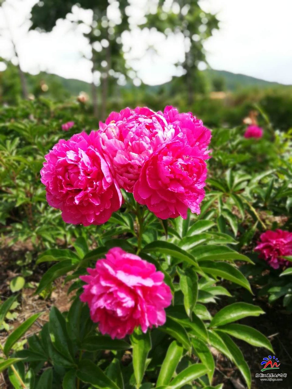 jU8tHR2S5D__dCymJ65eTFzUh5kg_eiNaPwO606UD7LqzSKyc-PD7-PTlctPnQg5