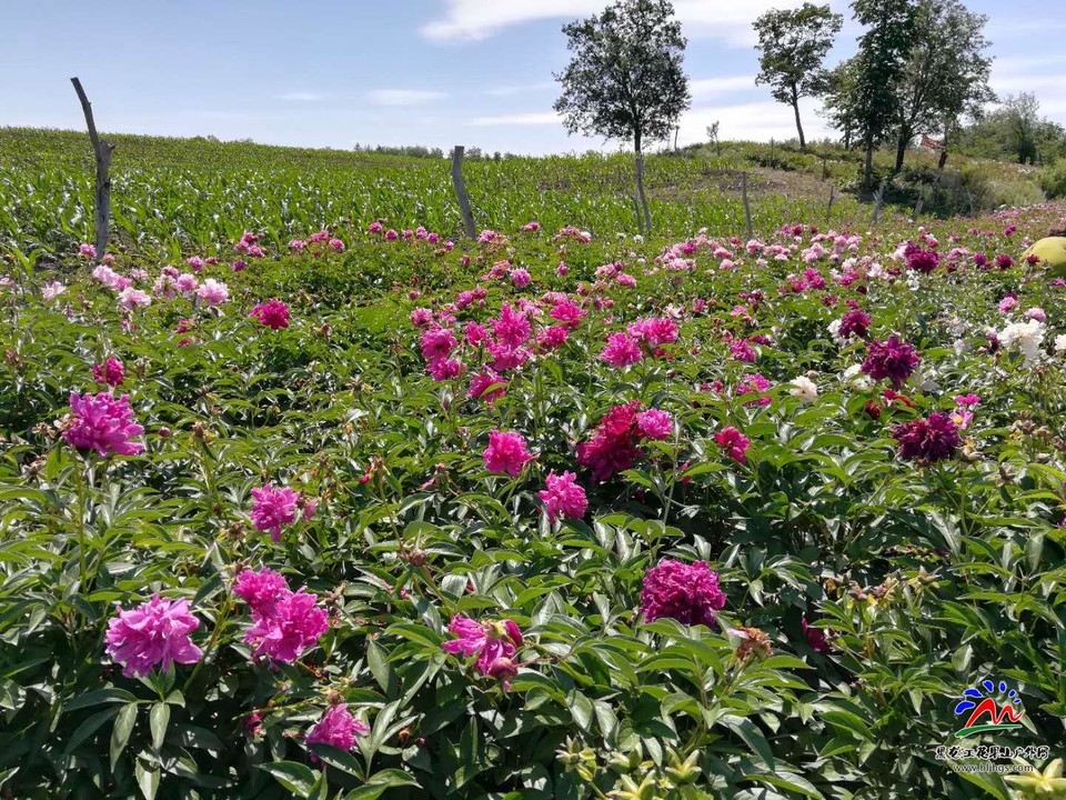 NI4LX9Lup65Kuy9Zo_hhvHXWqw3preO600VjDE3ZCjuNZUfZMVaEzdD2JKrfUzUI