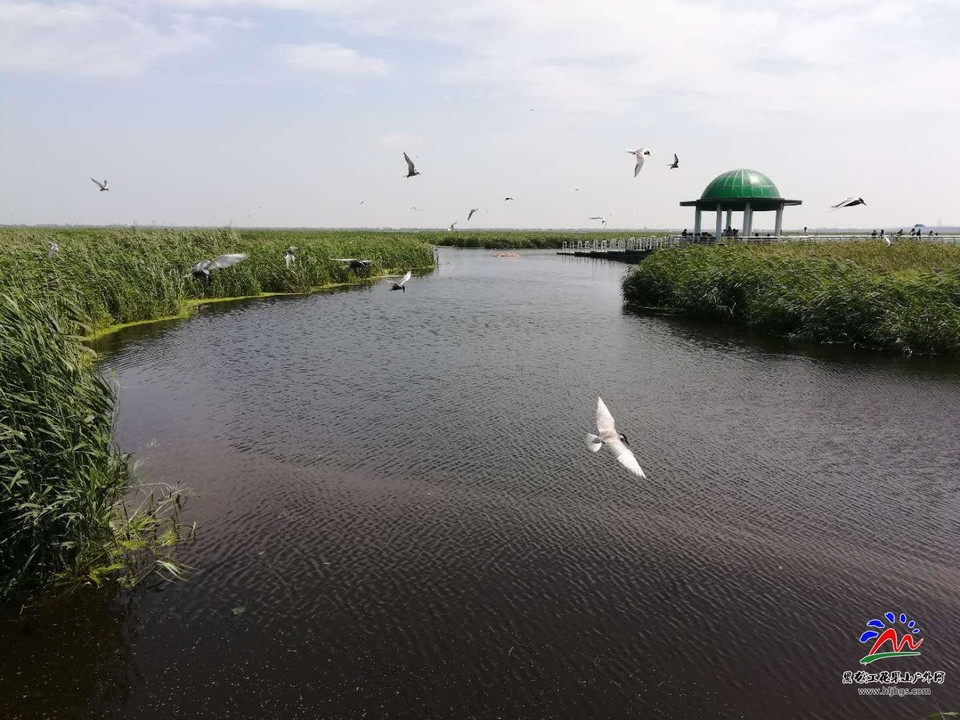 lGSKlxGLZjAzeoasWoOFQ-Bb2BpYdpxrhAp3NxVlGP8iHPt5c9yaK143evMqKOc_