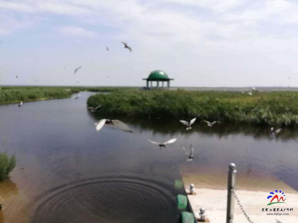 hd5AVGuRFvrC-qKMI07N1tGi3AYpBD77fx836Ijyd-CtFF7WFnnkP7Q-V32oRow9