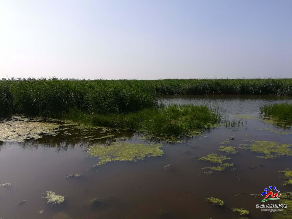 gwRp-CfwLBuLRRmhEkAQezEM8TTbaroeeP1rkhU-VciOYSyOqM6O5ZpP0cHwX9-Q