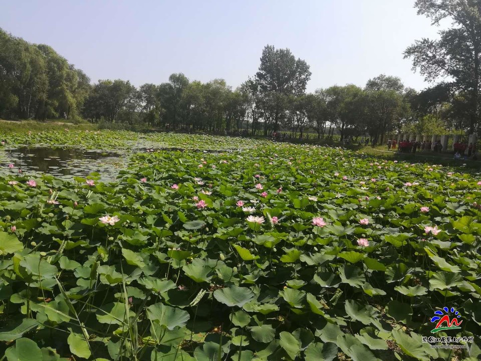 rfhd0usQd4reth11QTqNjs--rUSnCH-Dd3UrQO5wrkhkoZOeylIjrXeaKdDc8fUg