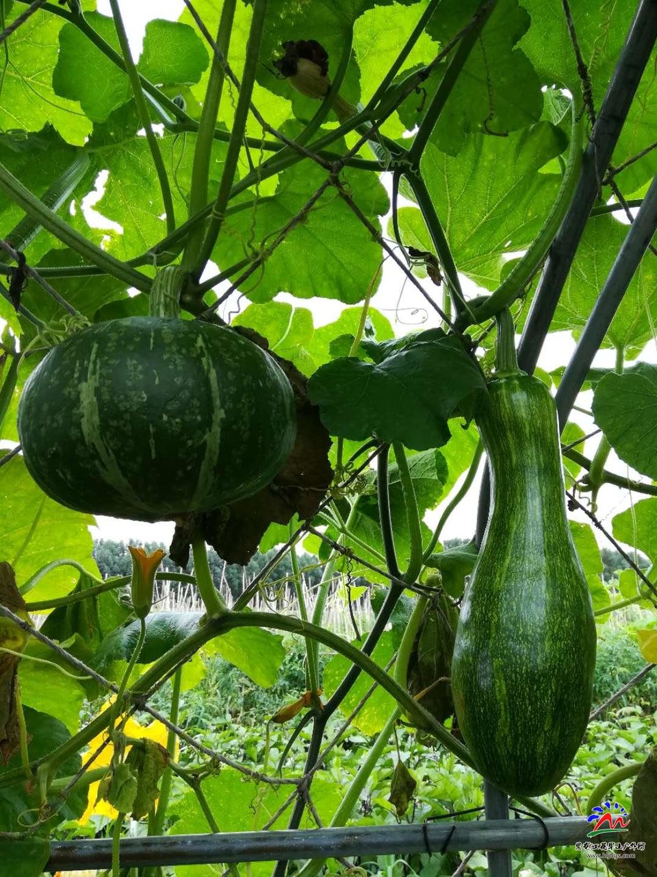 Fn1P3PrEGXYp_883oQvjXBoKqSKEyIhEZFVkgpZAzgmoYaiMVwjoaq-aBQIezm4j