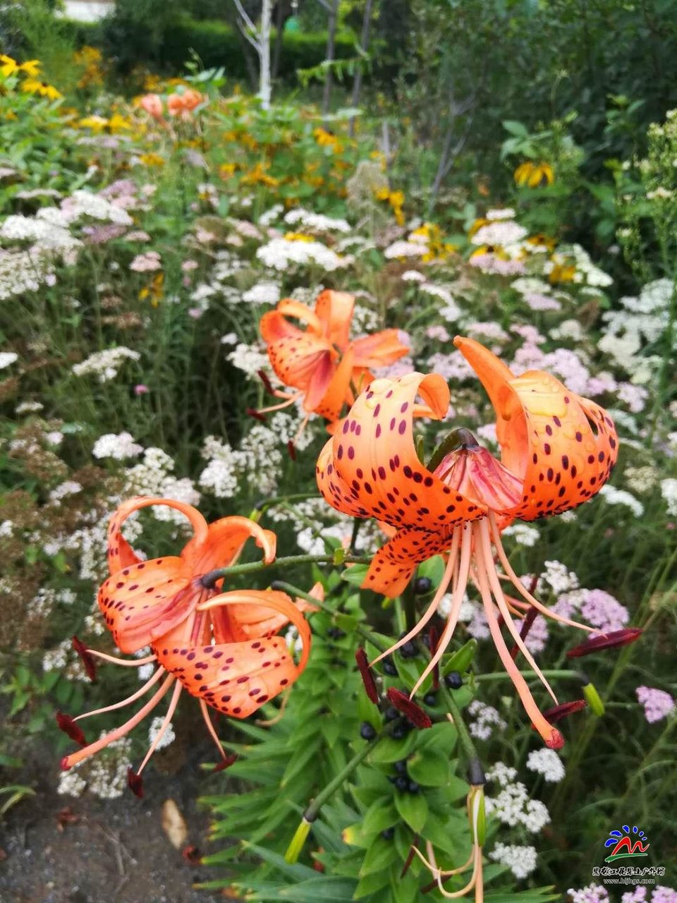 BvRKVFPunQciax8EiM4vAf2vuCTdoD53UMQ-EVi5P0H5JeXJONrVWjaltzj7qWWh