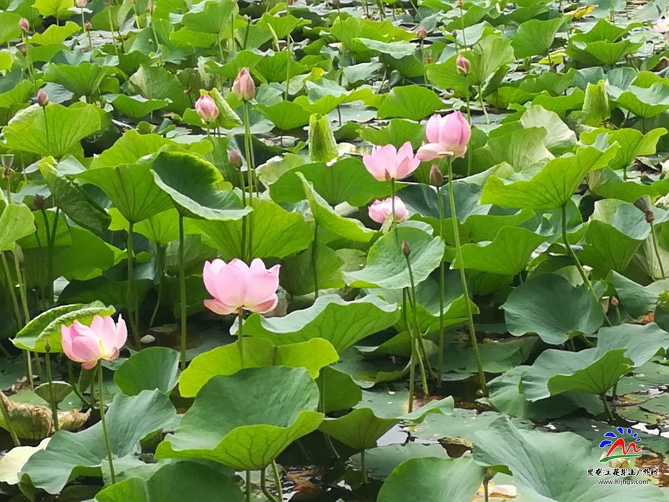 l3pwE7awCV3NKRoMXuTxCbEVSnMmeW9Xnuw2tZVW29--cgotGzyb6_NupSKvl4B8