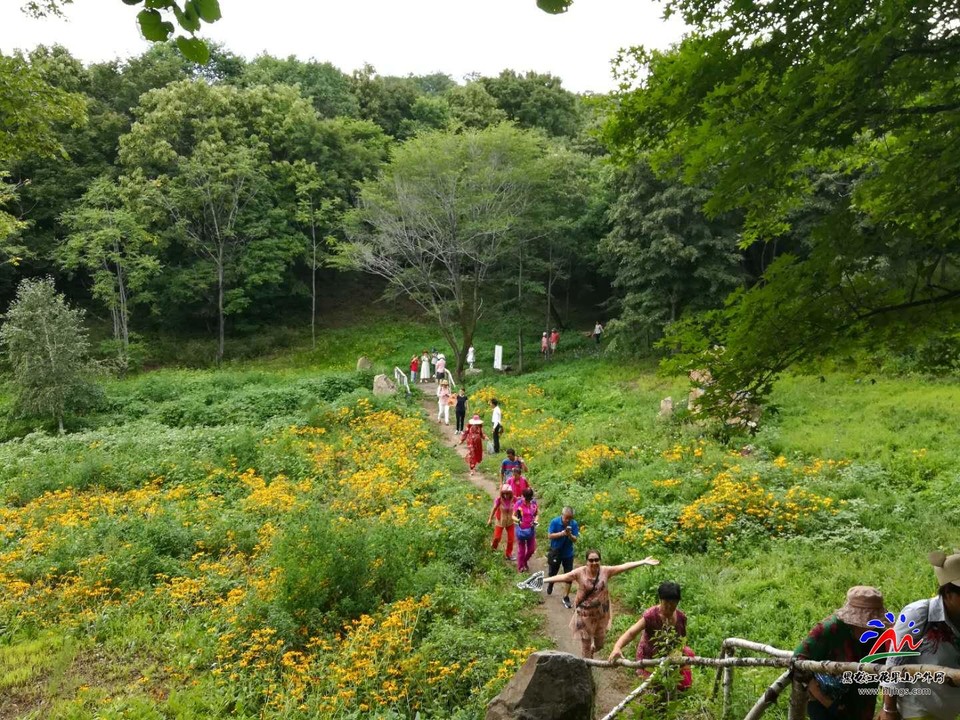 XliOYf9869f_7kurMboIMJgZMdRpr4YqAgfS8sUFCZqroe0v9yKhDu699y_V4xNl